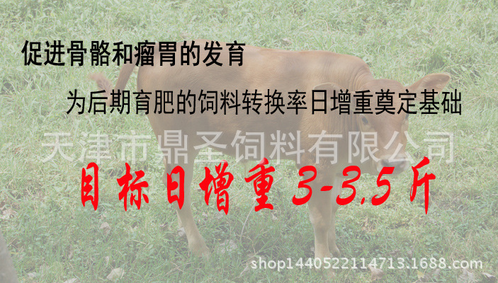 2、育肥牛每天需要多少飼料/肉牛每天吃多少飼料